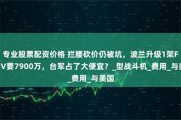 专业股票配资价格 拦腰砍价仍被坑，波兰升级1架F-16V要7900万，台军占了大便宜？_型战斗机_费用_与美国