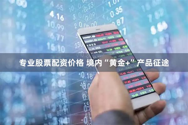专业股票配资价格 境内“黄金+”产品征途