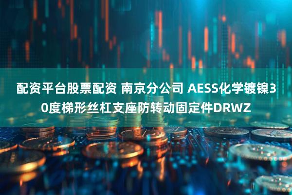 配资平台股票配资 南京分公司 AESS化学镀镍30度梯形丝杠支座防转动固定件DRWZ
